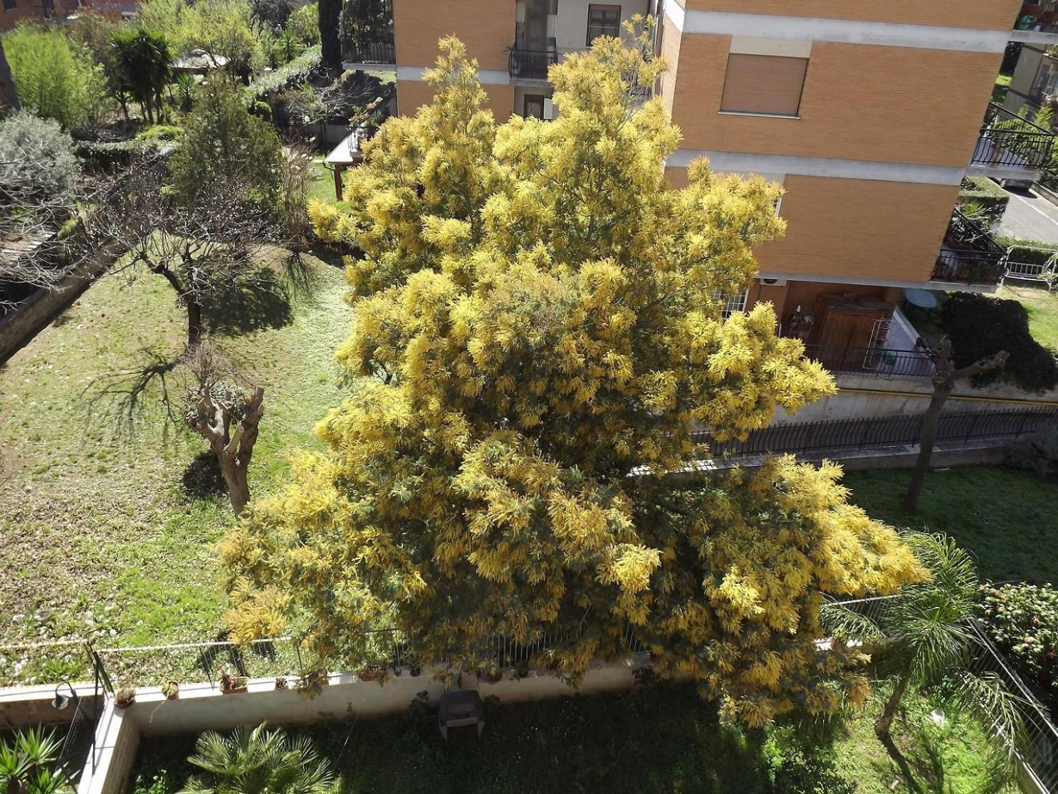 Gilda Vacanze Metro Battistini Apartment Rome Exterior photo